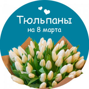 Купить тюльпаны в Бериславе